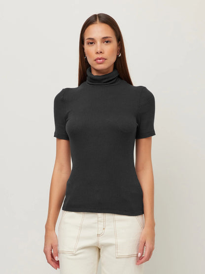 FIFTEEN TWENTY JANA SHORT SLEEVE TURTLENECK TOP