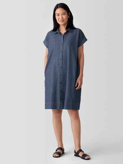 EILEEN FISHER Collar Cap Sleeve Shirt Dress